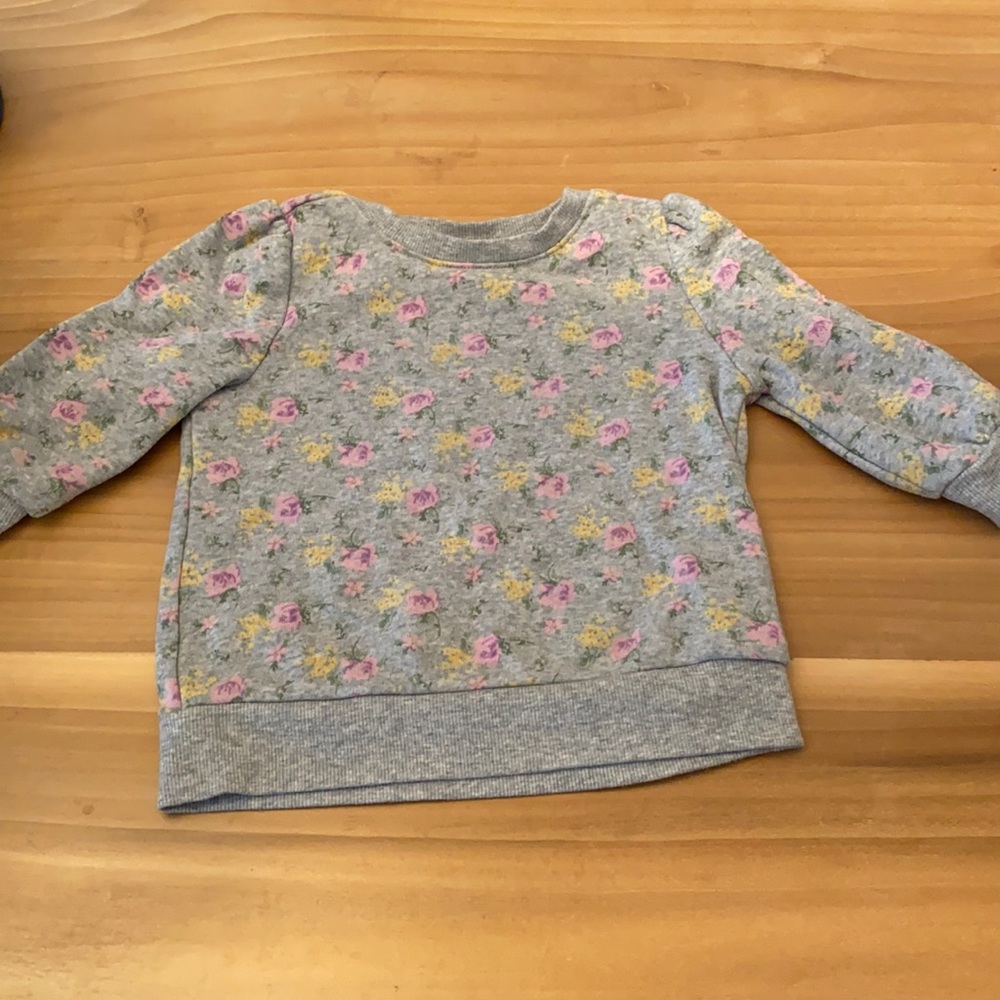 COPY - Girls size 5 Janie and Jack floral sweatshirt excellent used condition n…